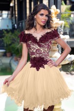 ROCHIE BABY DOLL DANTELA