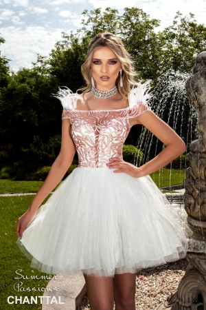 ROCHIE ELEGANTA ACCESORIZATA CU PENE