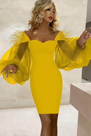 ROCHIE CU MANECI TULLE