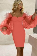 ROCHIE CU MANECI TULLE