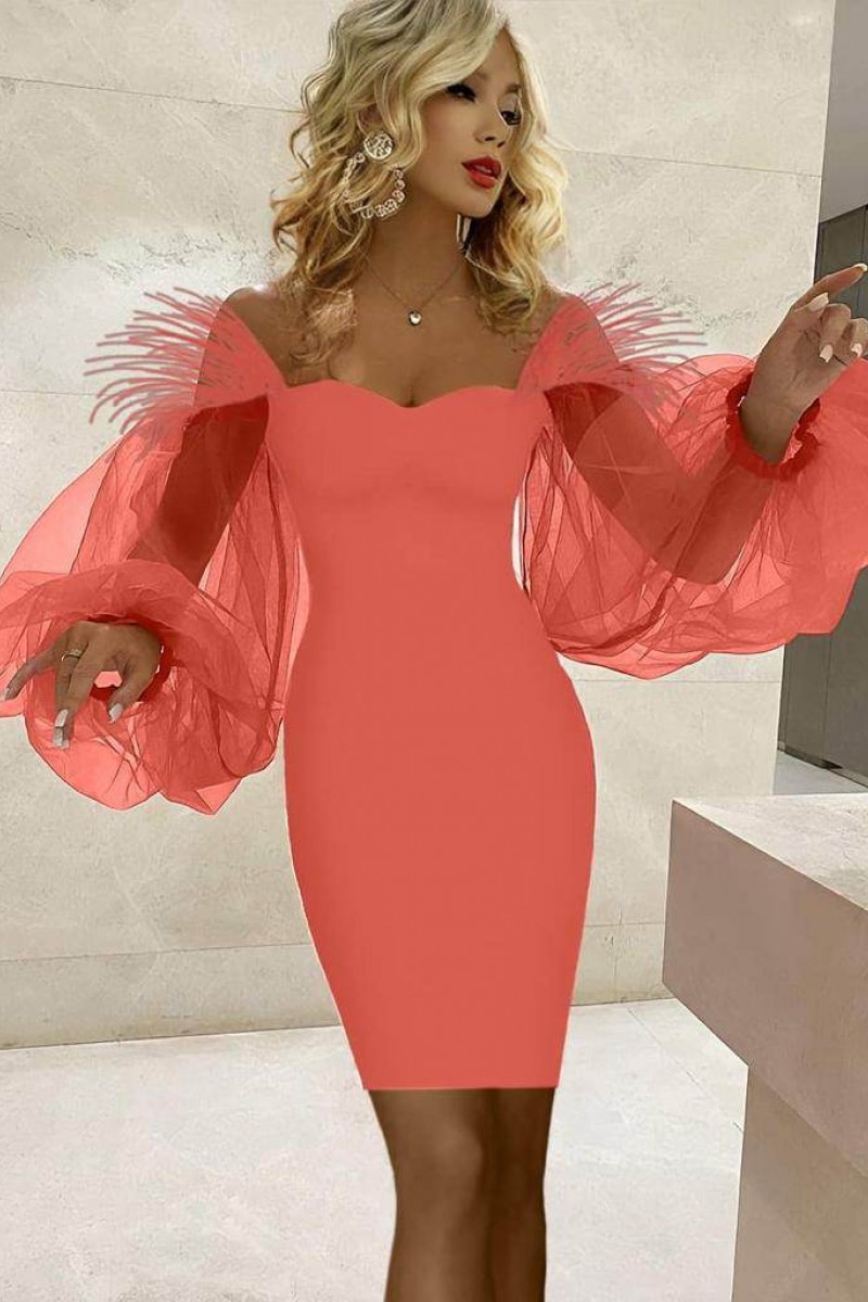 ROCHIE CU MANECI TULLE