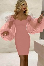 ROCHIE CU MANECI TULLE