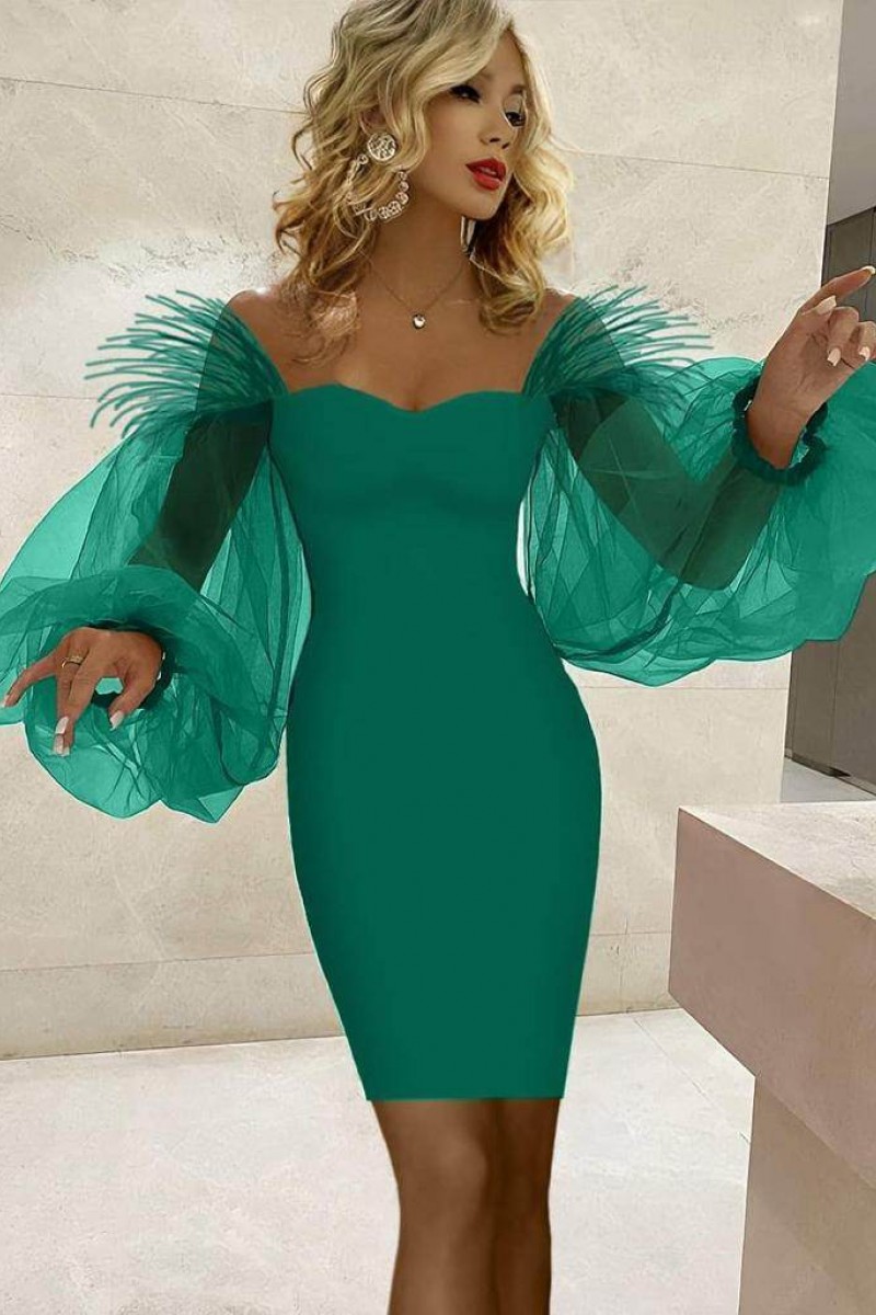 ROCHIE CU MANECI TULLE