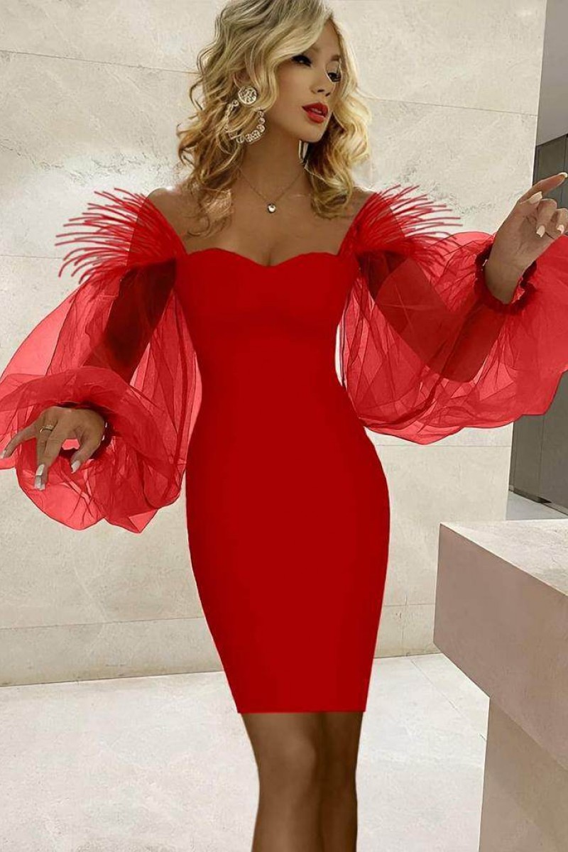 ROCHIE CU MANECI TULLE
