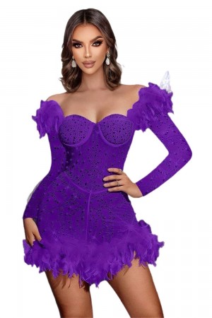 ROCHIE ELEGANTA CU PIETRE, STRASURI SI PENE